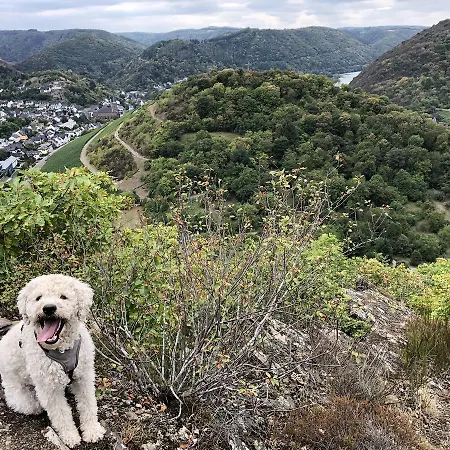 Weins * Treis-Karden