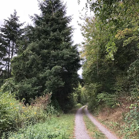 Weins Apartment Treis-Karden