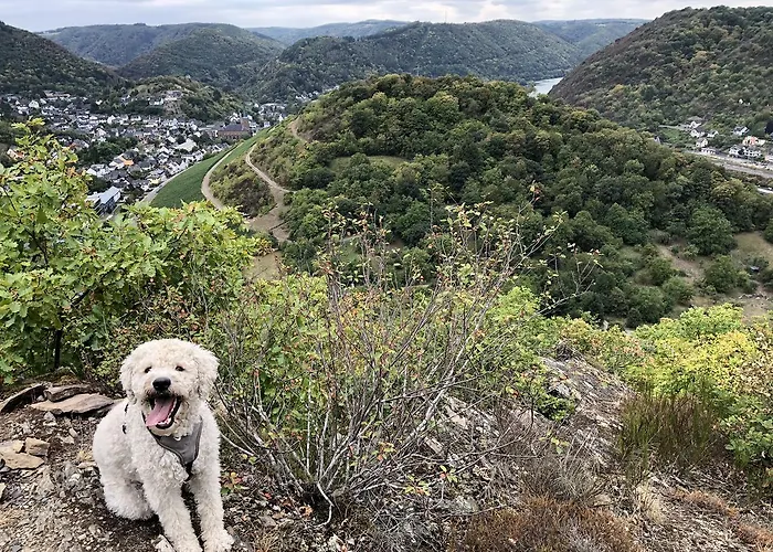 Weins * Treis-Karden