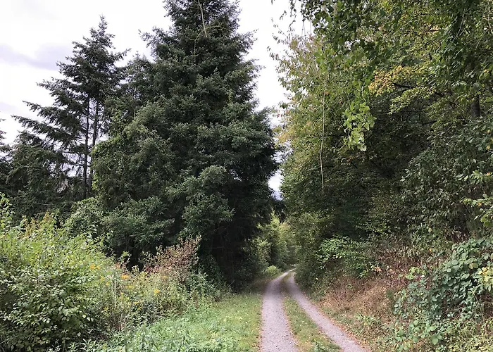 Weins Apartment Treis-Karden