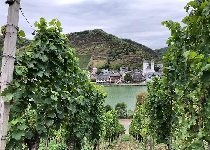 Weins Apartment Treis-Karden